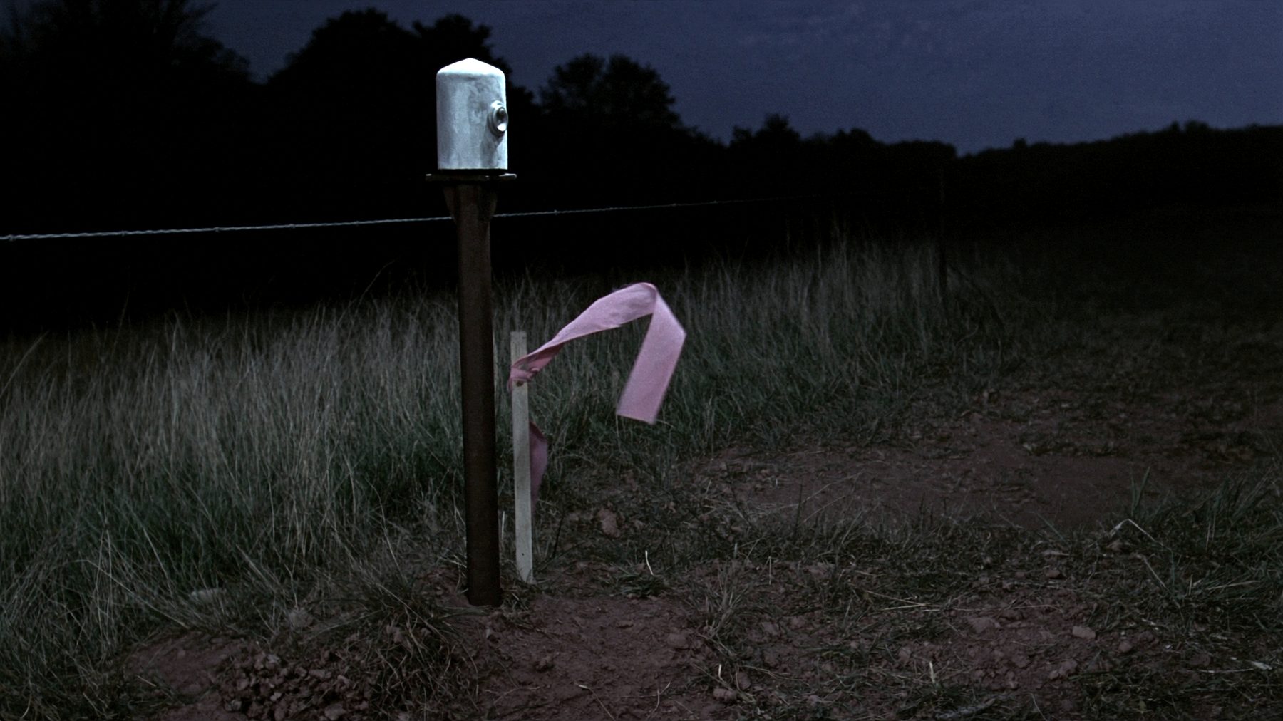 A survey tripod and instrument standing in a mown field at dusk, with a treeline behind it.